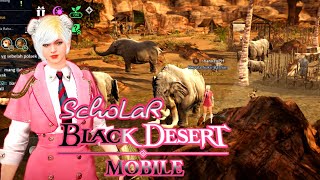 Black Desert Mobile Karakter Season Terbaru SCOLAR [upl. by Gypsie702]