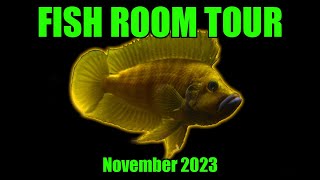 Tanganyikan Cichlids  Fish Room Tour [upl. by Neelehtak]