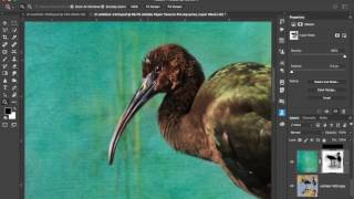 How to Add Artistry to Your Nature Photos with Textures [upl. by Erbas]