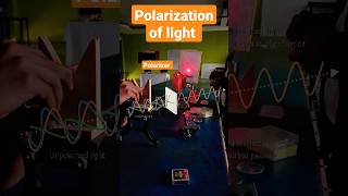 Experiment Laser light polarized or not class12 polarization optics [upl. by Carmencita]