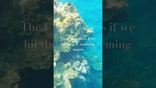 The world’s coral are dying australia greatbarrierreef coralreef coral environment [upl. by Ecertap863]