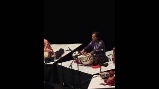 Ustad Zakir Hussain New Tabla Video shorts [upl. by Hulbig]