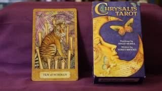 Chrysalis Tarot Full Flip Through [upl. by Nimad]