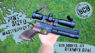 Sub 500FPS 177 Cal Reximex RPA Review [upl. by Jeannine]