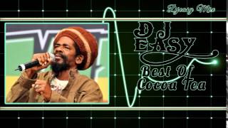 Cocoa Tea Best of The Best Greatest Hits mix by djeasy [upl. by Pammie]