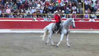 El Chapo De Sinaloa  En Vivo quot Recostada En La Cama quot [upl. by Hephzibah670]