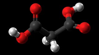 Levulinic Acid Market Analysis Recent Trends and Regional Growth Forecast by 20212026 [upl. by Werna]