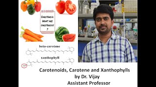 MSc Chemistry  Lecture 2A Carotenoids Carotene amp Xanthophyll [upl. by Iain823]