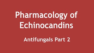 Pharmacology of Echinocandins Antifungals Part 2 ENGLISH  Dr Shikha Parmar [upl. by Fidelio]