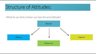 Social Cognition Structure of Attitudes [upl. by De Witt]