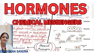 Endocrine paracrine neuroendocrine Endocrine cytokines [upl. by Ahsyak]