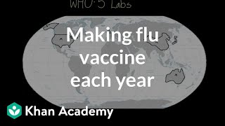 Making flu vaccine each year  Infectious diseases  Health amp Medicine  Khan Academy [upl. by Irroc48]