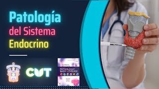 Emisión en directo  Patología del sistema endocrino  Curso 2023A [upl. by Dimah]