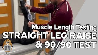 MLT Hamstrings Straight Leg Raise AND 9090 Test [upl. by Engedus]