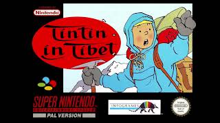 Tintin in Tibet  Awakening Cutscene SNES OST [upl. by Euqinot250]