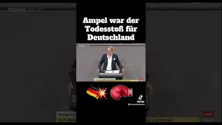 Alice Weidel zur Ampel Regierung💥⚡️ [upl. by Nedda]