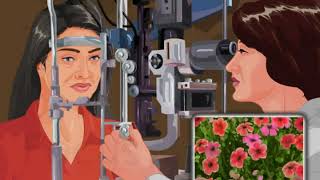 Slit lamp examination  Animated Concise Dictionary of Ophthalmology [upl. by Seldon]