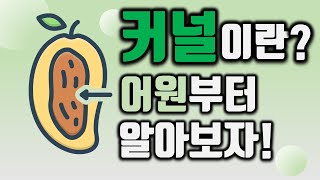 커널 1 커널의 어원으로 알아보는 모든 것 운영체제부터 기계학습 이미지 처리까지 [upl. by Millman]