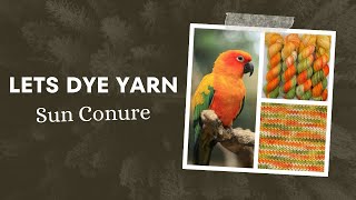 Lets Make Hand Dyed Yarn  Sun Conure [upl. by Ecad]