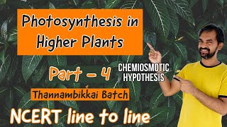 Photosynthesis in higher plants  Part 4  Chemiosmotic hypothesis  NCERT LINE TO LINE [upl. by Khano]