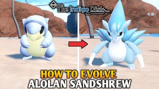 How To Evolve Alolan Sandshrew Into Alolan Sandslash In Pokemon Scarlet amp Violet  The Indigo Disk [upl. by Ecidna]