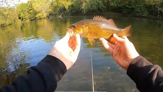 River LOADED with Hungry Smallmouth [upl. by Horowitz]