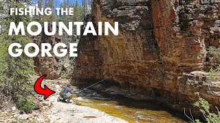 Fishing an INCREDIBLY Scenic Gorge in the Mountains Tenkara Fly Fishing [upl. by Ydaj]