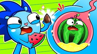 Watermelon Is Growing In My Tummy 🍉🙀  Songs for kids 🎶 Baby Zoo  Baby Cars [upl. by Sturges]