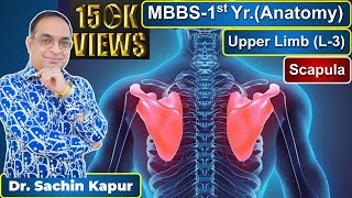 MBBS  First Year  1st Prof  Anatomy  Upper Limb L3  Scapula  Dr Sachin Kapur  AIIMS [upl. by Yelyk]