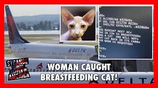 Woman Caught Breastfeeding Hairless Cat On Delta Flight [upl. by Mena]