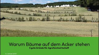 Warum Bäume auf dem Acker stehen  5 Gründe für Agroforstwirtschaft [upl. by Brigette]