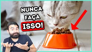 Admita Você Comete PELO MENOS UM Desses ERROS Com Seu Gato [upl. by Trahurn268]