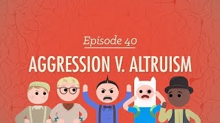 Aggression vs Altruism Crash Course Psychology 40 [upl. by Holbrooke]