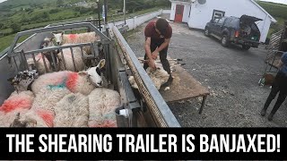 SHEARING SHEEP TO PAY FOR TRAILER REPAIRS [upl. by Atinihs]