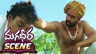 Dev Gill Killing Kajal Aggarwals Lawyer  Magadheera Telugu Movie  Ram Charan [upl. by Ail]