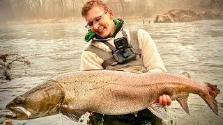 Angler fängt riesigen Huchen in heimischen Bach Full Film 4k [upl. by Orabelle79]