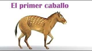 Eohippus  El primer caballo de la historia [upl. by Lipfert]