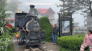 Discovering Darjeeling A Journey Through the Hills of Beauty darjeeling love trending snzzone [upl. by Ashti]