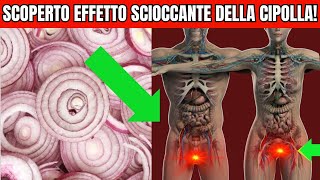 Una Sola CIPOLLA può Innescare una Reazione IRREVERSIBILE nel tuo Corpo [upl. by Semreh]