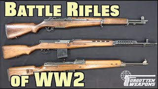 Battle Rifles of World War Two Overview [upl. by Wrdna764]