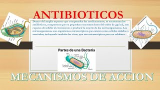 Antibióticos Clasificación y Mecanismos de Acción [upl. by Elbert835]