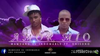 Amor Mio  Mamuang ft Unisono Letra [upl. by Ileane]