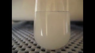 Sodium benzoate and hydrochloric acid [upl. by Polash]