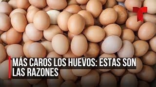 Dramático aumento en el precio de la docena de huevos [upl. by Frantz]