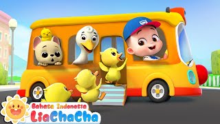 Bus Hewan Kecil  Lagu Anakanak Bus 🚌  Roda di Bis  Lagu Lucu  LiaChaCha Bahasa Indonesia [upl. by Harden]