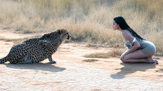 This Woman Tried to Help a SICK CHEETAH What Happened Next Will SHOCK You [upl. by Radford]