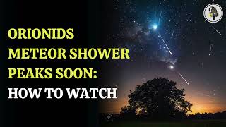 Experience the Orionid Meteor Shower A Celestial Spectacle WION Podcast [upl. by Oberg]