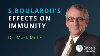 Sboulardiis Effects on Immunity  Mark Miller [upl. by Ilke]