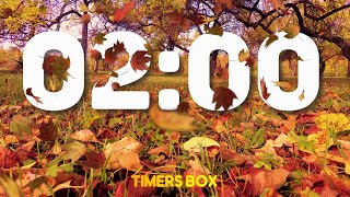 Autumn 2 Minute Fall Timer with Calming Music 🍂 and Alarm at End [upl. by Wight515]