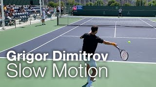 Grigor Dimitrov Forehand amp Backhand Tennis Practice at Court Level in Slow Motion  Indian Wells [upl. by Sussman]